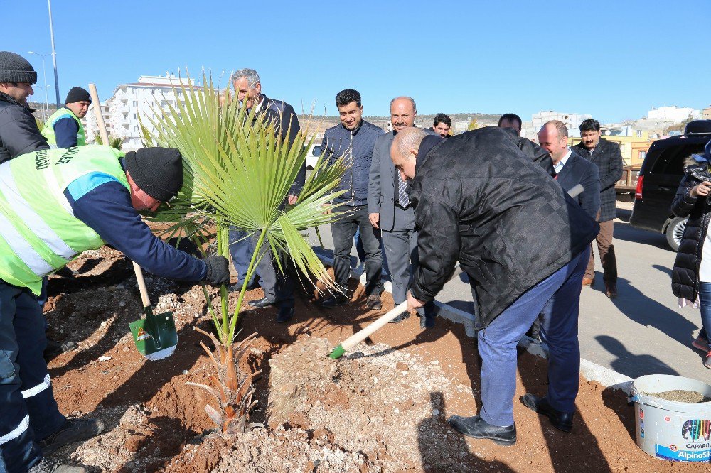 2017 Yılı Kilis İçin Park Bahçe Yılı Olacak