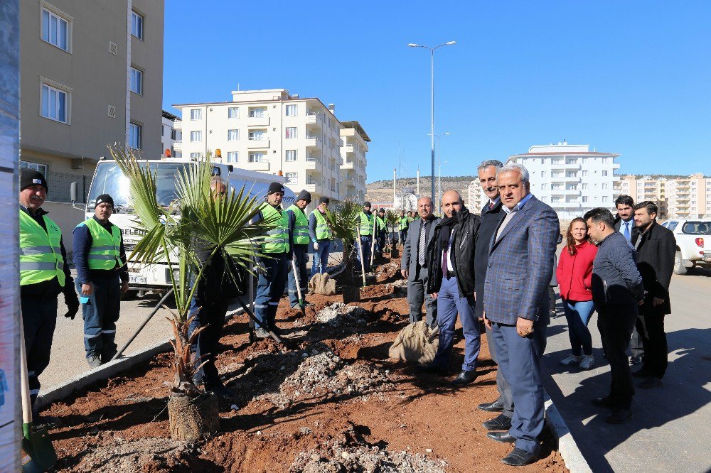 2017 Yılı Kilis İçin Park Bahçe Yılı Olacak