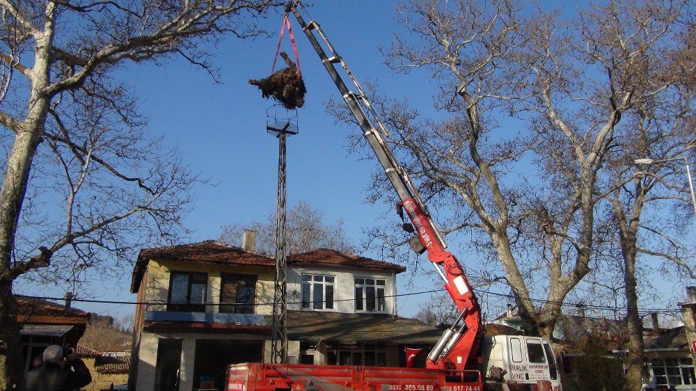 Leylek Yuvası İçin Seferber Oldular