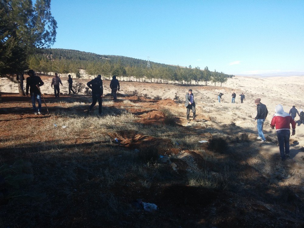 Adıyaman’da Hükümlüler Fidan Dikti