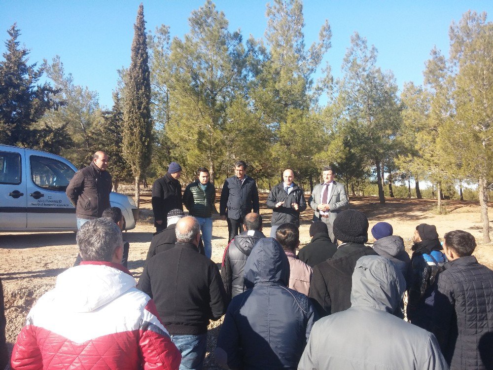 Adıyaman’da Hükümlüler Fidan Dikti