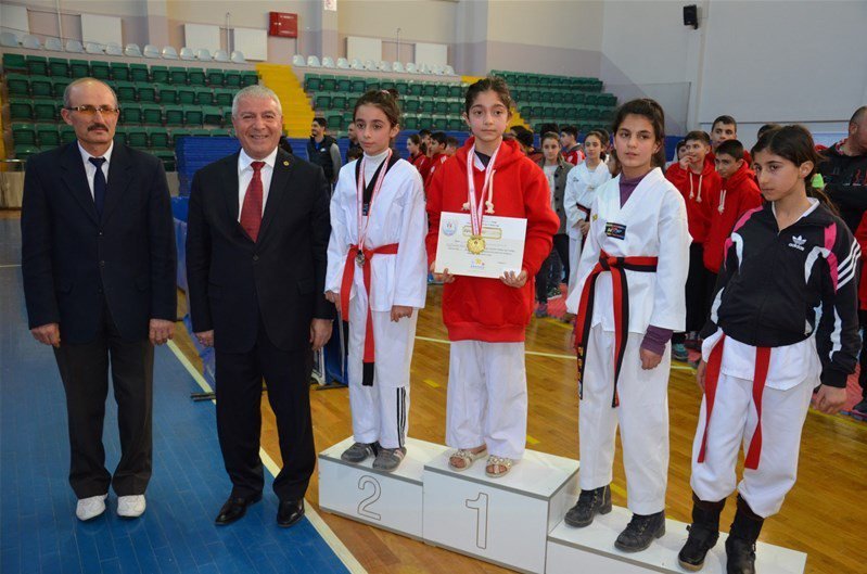 Analig Taekwondo Yarı Final Müsabakaları Başladı