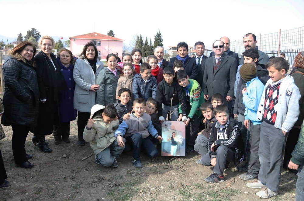 Öğretmen Ayşe Aktaş Anısına Ağaç Dikildi