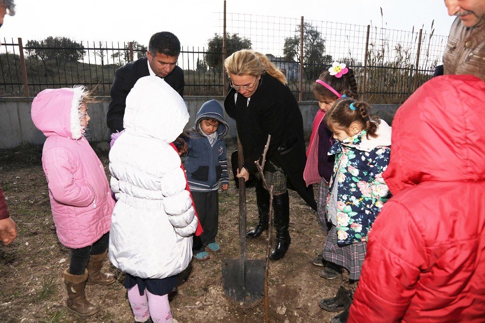 Öğretmen Ayşe Aktaş Anısına Ağaç Dikildi