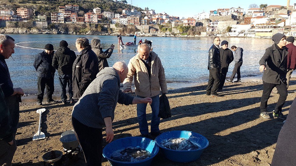 Yunustan’dan Kaçan Kefaller, Amasralı Balıkçıları Sevindirdi