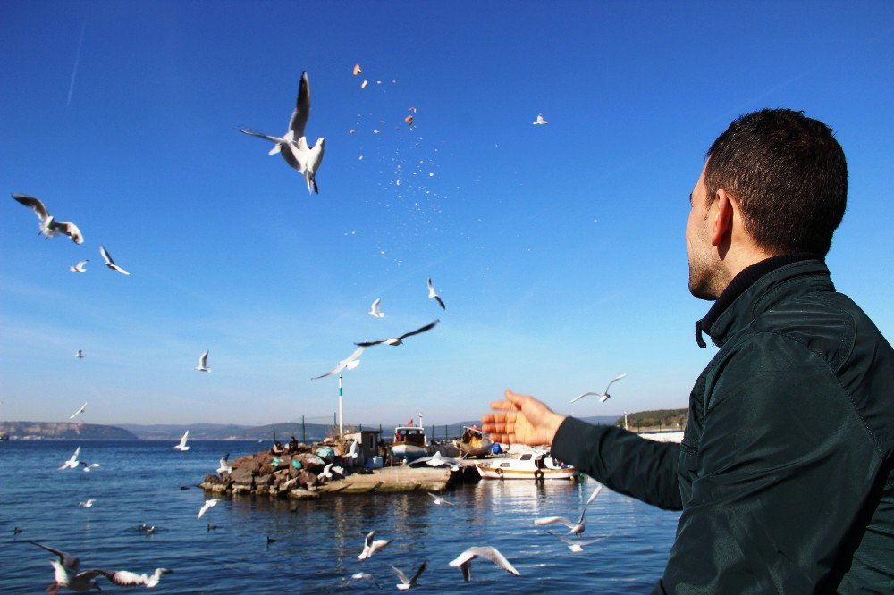 Çanakkale’de Martı Besleme Etkinliği