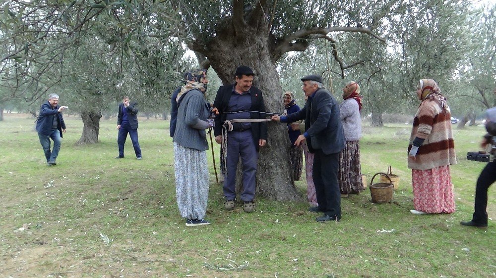 İşçiler Kahya Ve Karısını Ağaca Bağladı