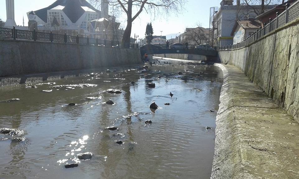 Akçakoca Çivi Deresi Temizlendi