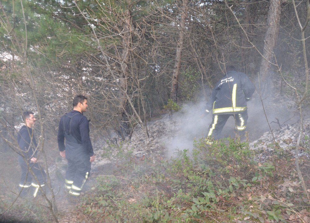 Bursa’da Orman Yangını