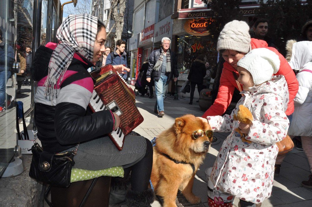 Romanyalı Kız Kardeşlerin Müziklerinden Çok Köpekleri Beks İlgi Görüyor