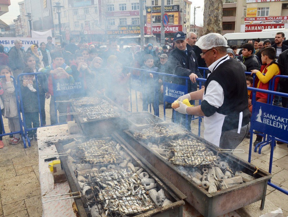 Hamsi Festivalinde 5 Ton Balık İkram Edildi