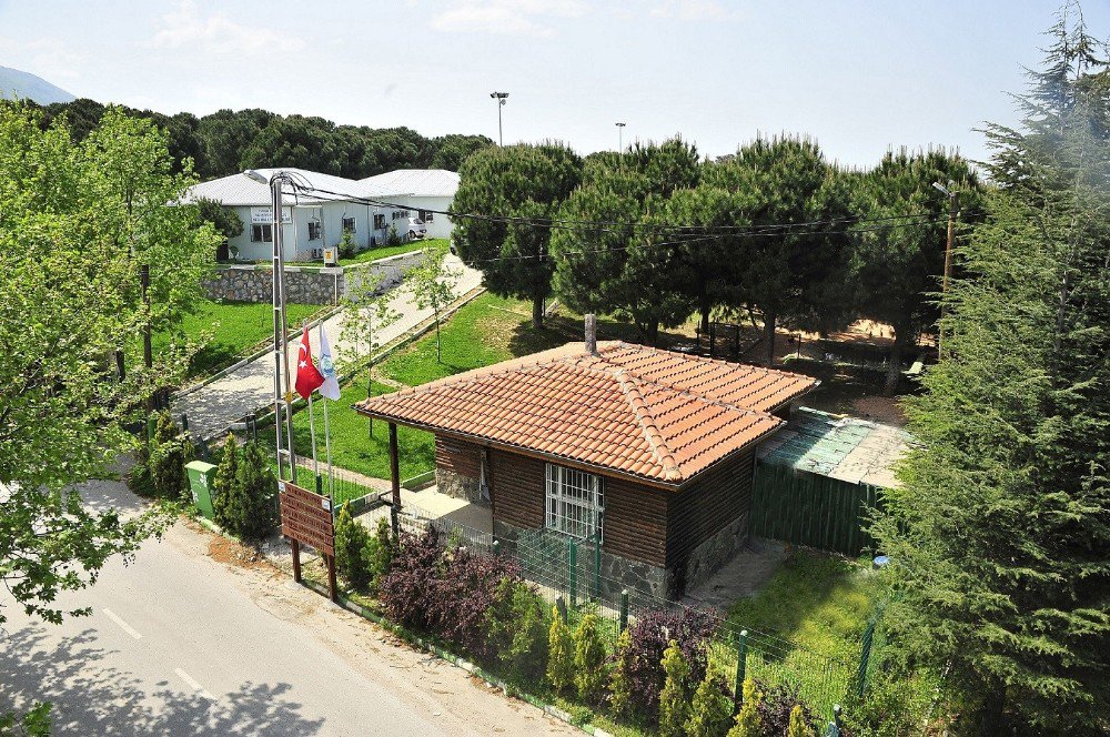 Hayvan Bakım Evi Ve Tedavi Merkezi’nin Kapasitesi Yüzde 75 Arttırıldı