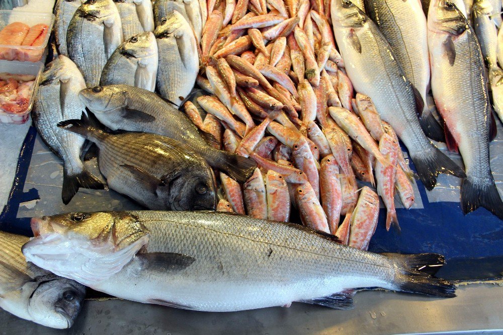 Omega3 En Çok Türk Balıklarında