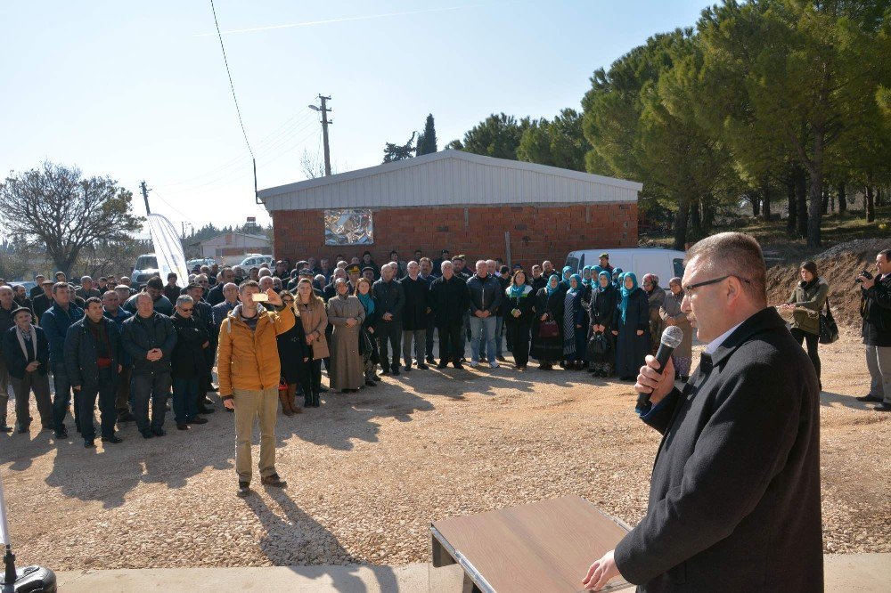 Karacabey’de Yeni Zeytin Toplama Merkezi Kuruldu