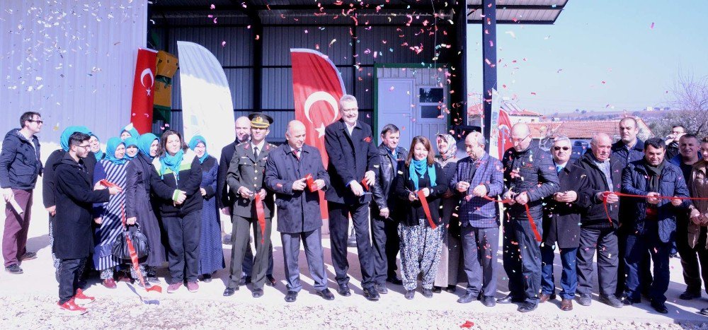 Karacabey’de Yeni Zeytin Toplama Merkezi Kuruldu