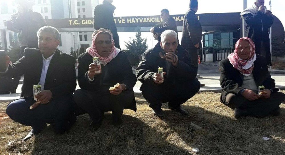 Elektriksizlikten Tarlada Mahsulleri Kuruyan Şanlıurfalı Çiftçilerden, Tarım Bakanlığı Önünde Protesto