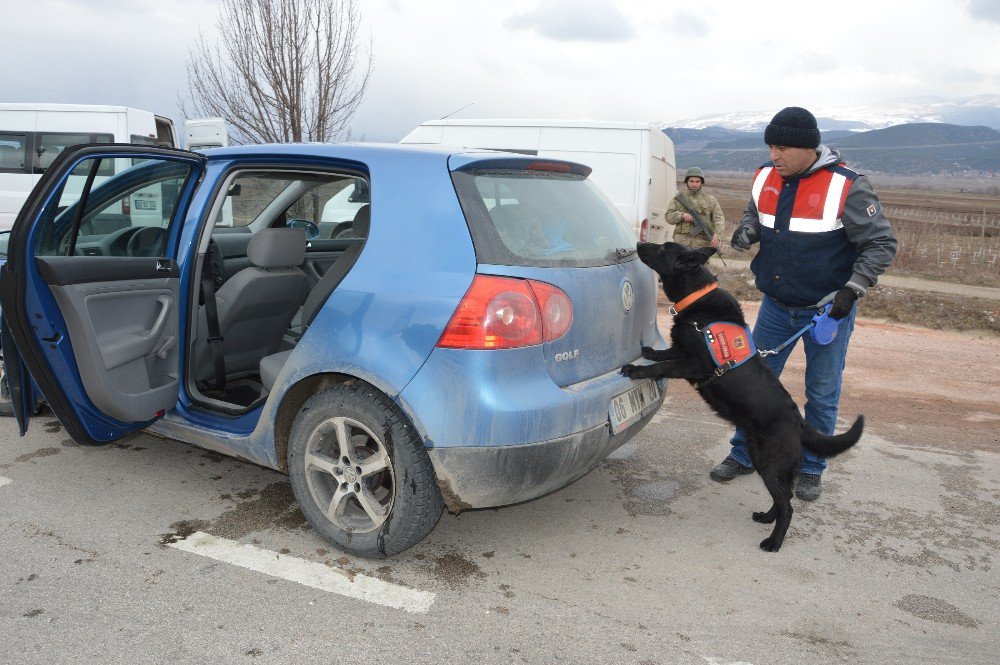 Jandarma Narkotik Köpekleriyle Uygulama Yaptı