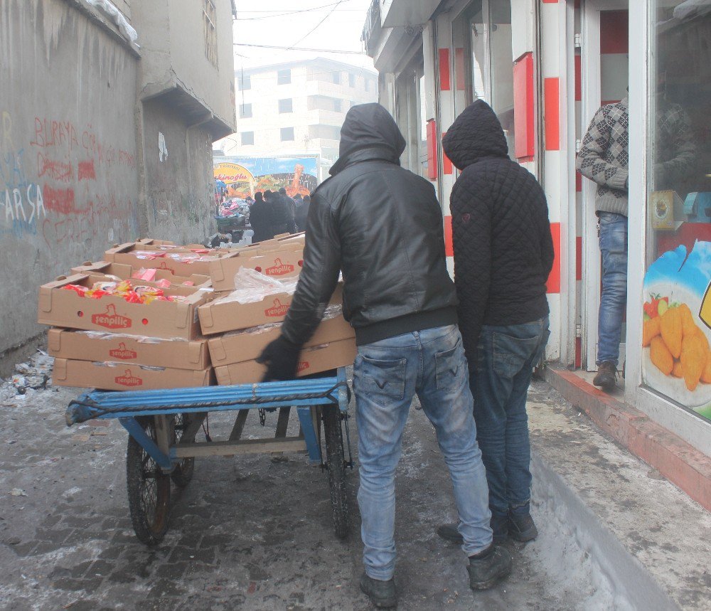 Dondurucu Soğukta Ekmek Kavgası