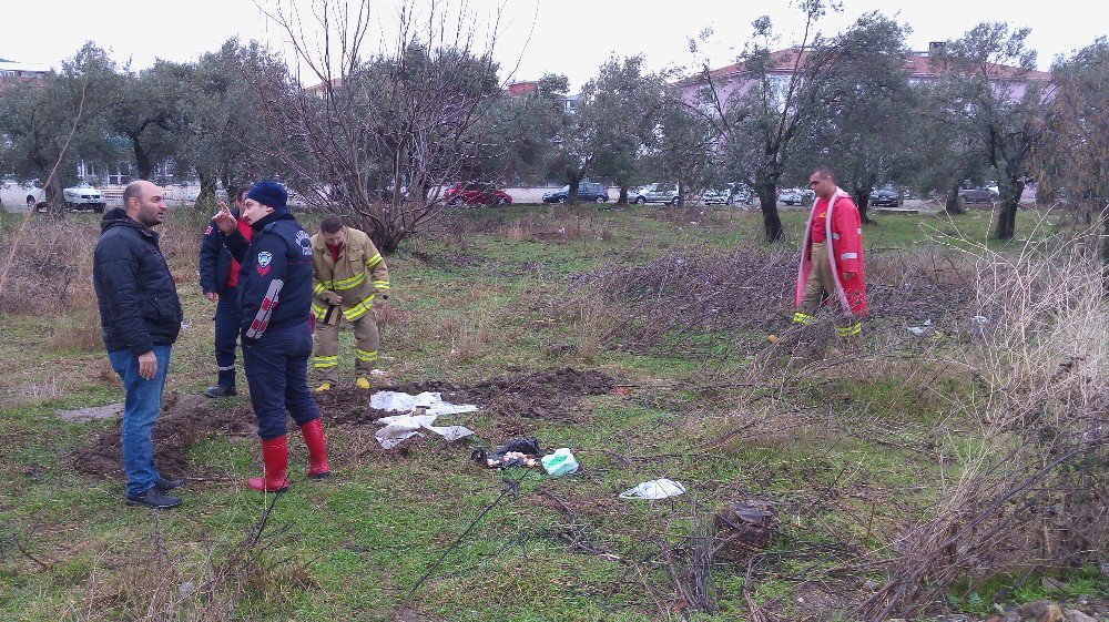 Kuyuya Düşen Köpekler İtfaiye Tarafından Kurtarıldı