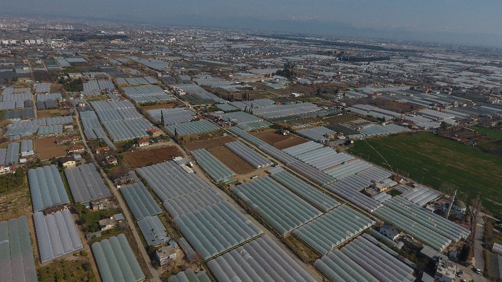 Kırcamii İmar Planı Tamamlandı