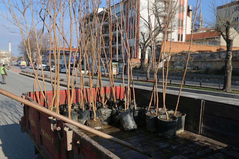 Edirne Ağaçlarla Nefes Alacak