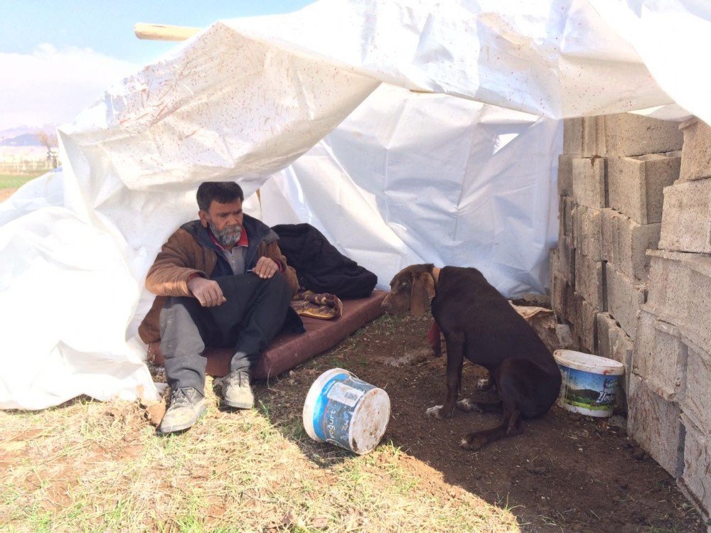 Kış Günü Köpekleriyle Dışarıda Yaşıyor