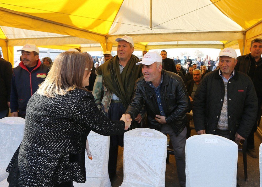 Büyükşehirden Çiftçilere ’Koyun Süt Yemi’ Desteği