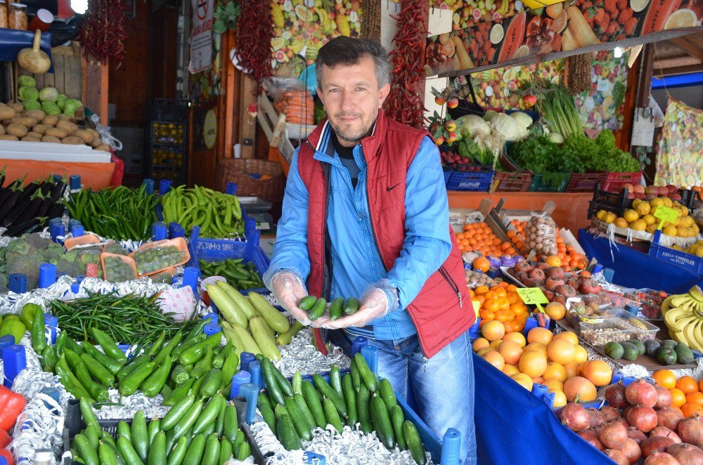 Fiyatı 7 Liraya Kadar Yükselen Salatalık El Yakıyor