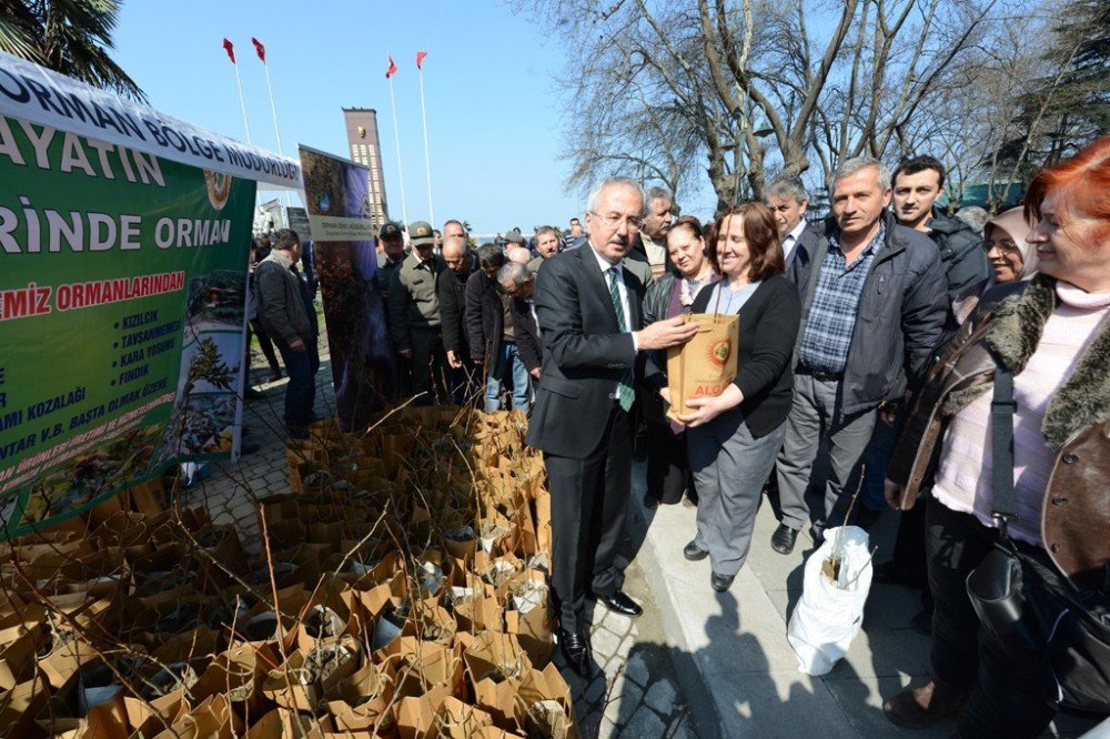 350 Bin Adet Fidan Ücretsiz Dağıtıldı