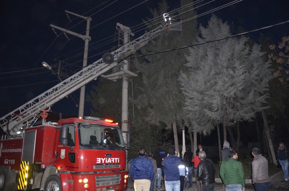 Kediyi Kurtarmak İçin Şehrin Elektrikleri Kesildi