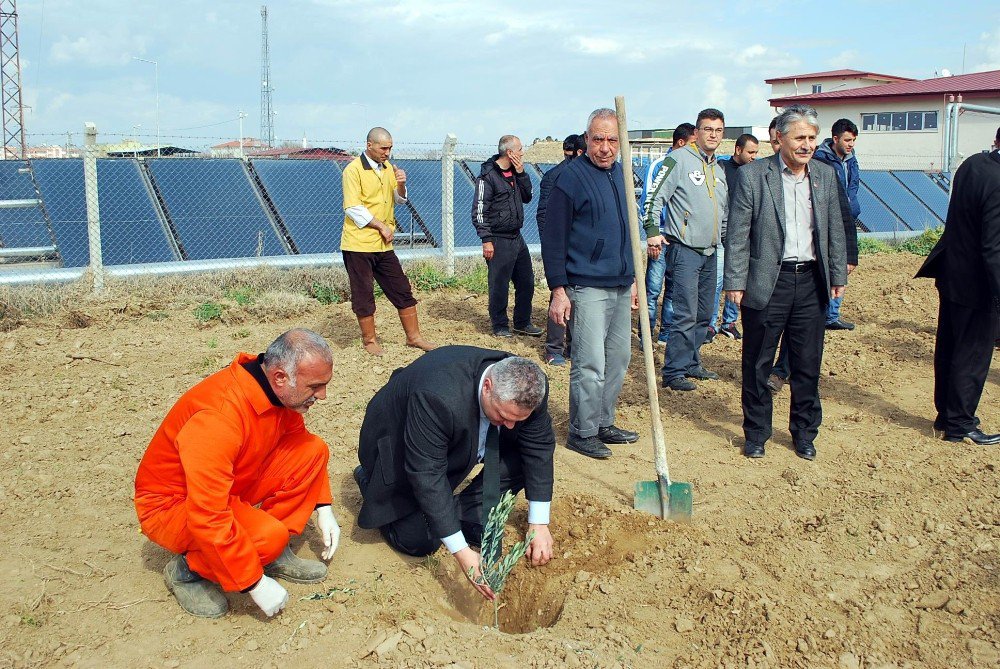 Çiftlik Gibi Ceza Evi