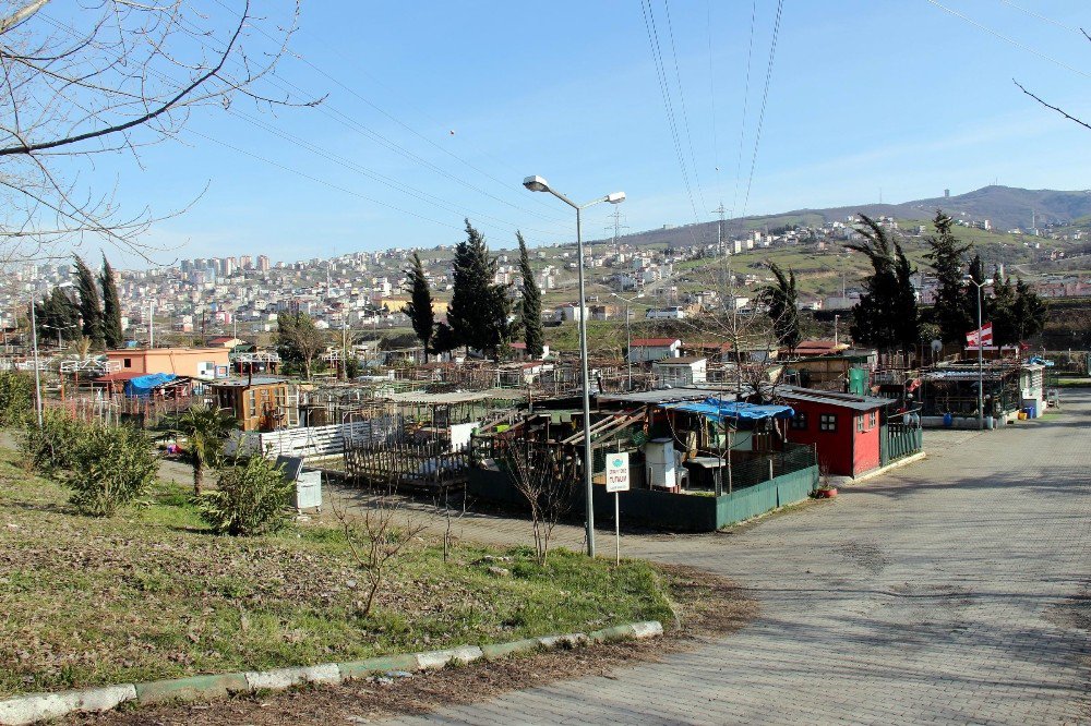 Hobi Bahçesi Piknik Alanı Olacak