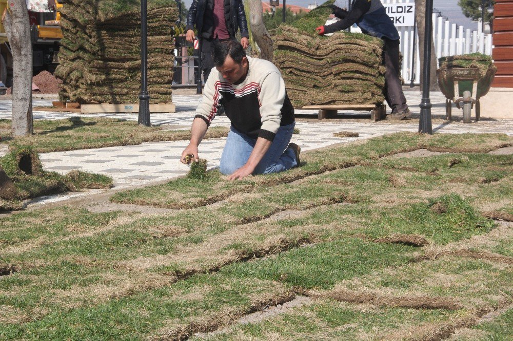 Ay Yıldız Park’ta Sona Doğru