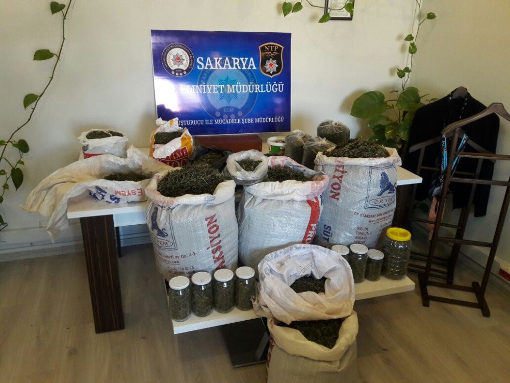 Sakarya’da 24 Kilogram Kubar Esrar Ele Geçirildi