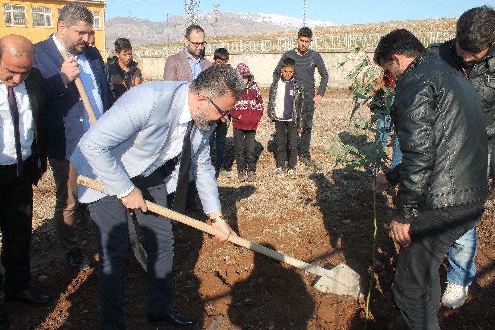 Silopi’de Köy Okulunda Ağaç Dikme Etkinliği