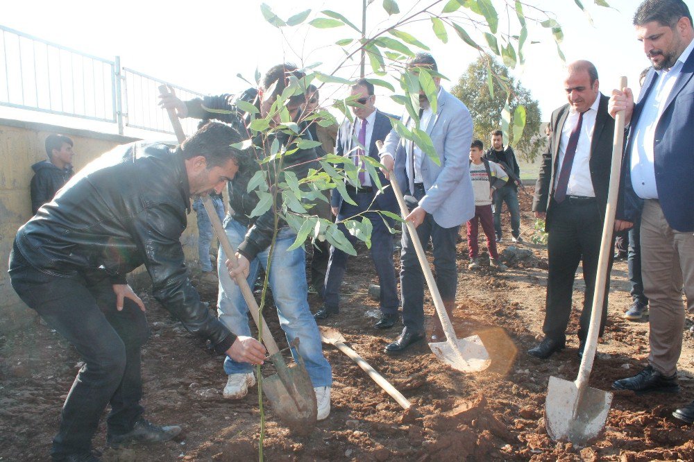 Silopi’de Köy Okulunda Ağaç Dikme Etkinliği