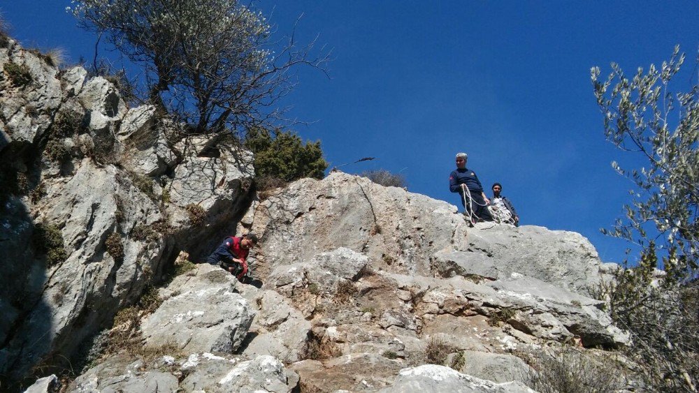 Kayalıklarda Keçi Kurtarma Operasyonu