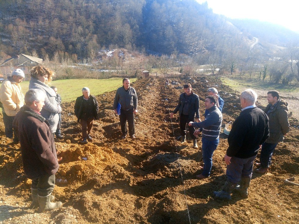 Bartın’da 2 Köyde Kızılcık Bahçesi Kuruldu