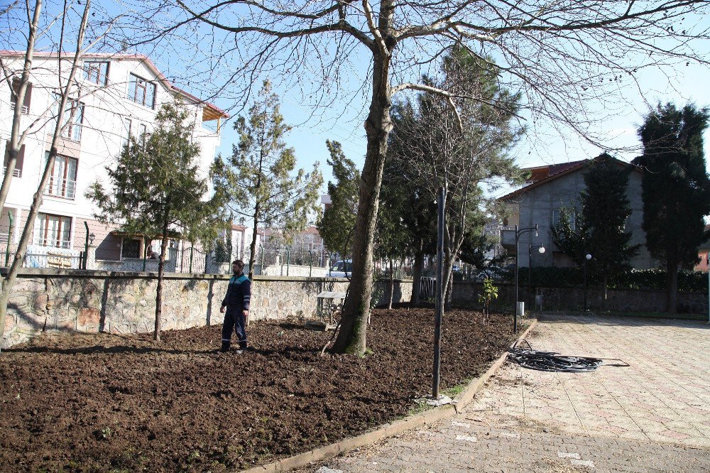 Başiskele’de Camilere Peyzaj Çalışması