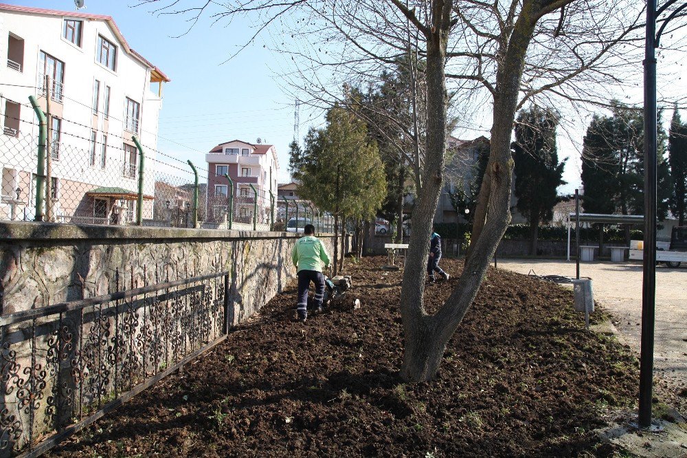 Başiskele’de Camilere Peyzaj Çalışması