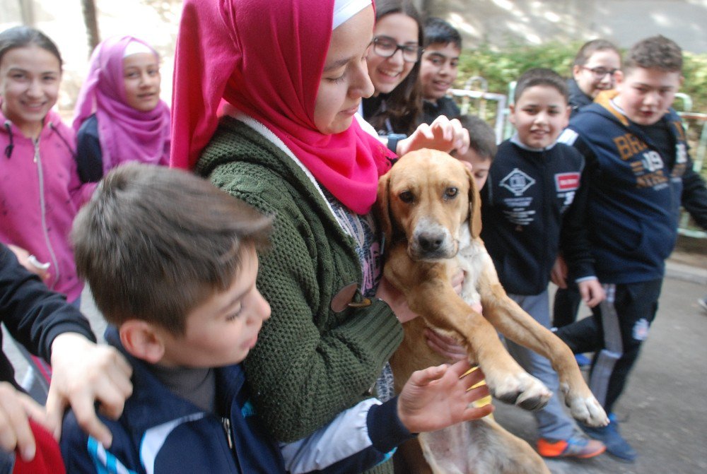 Okul Bahçesine Giren Yavru Köpek İlgi Odağı Oldu