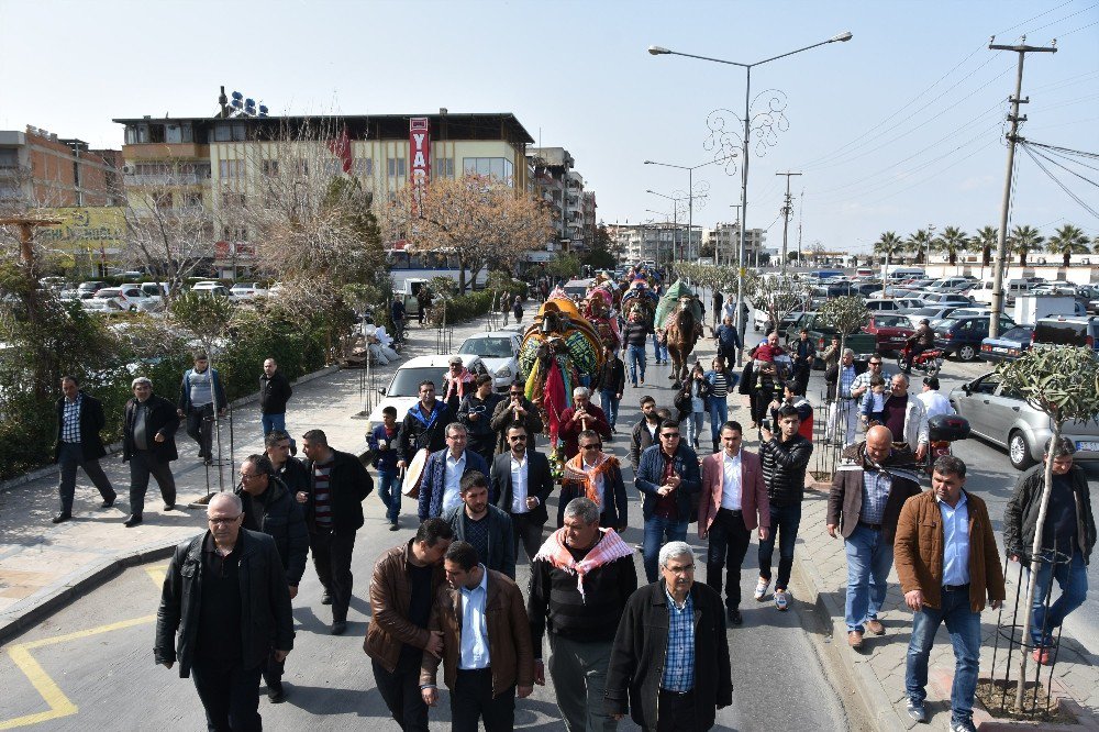 Güreşçi Develer Şehir Turu Attı