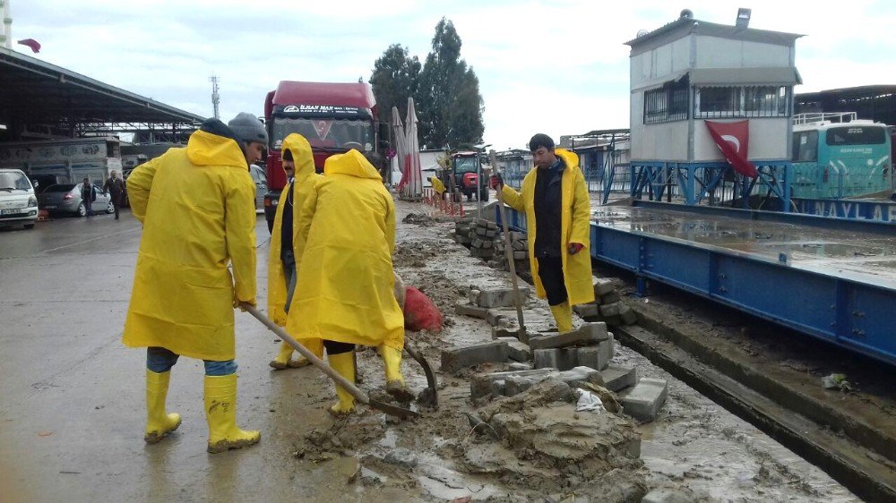 Büyükşehir Belediyesi, Hal Kompleksi’nde Çalışmalarını Sürdürüyor