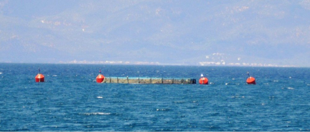 Ayvalık’ta Balık Çiftlikleri İçin Bilirkişi İncelemesi