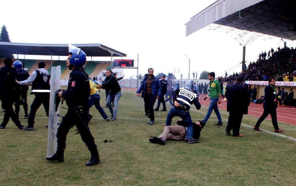 Taraftar Sahaya İndi