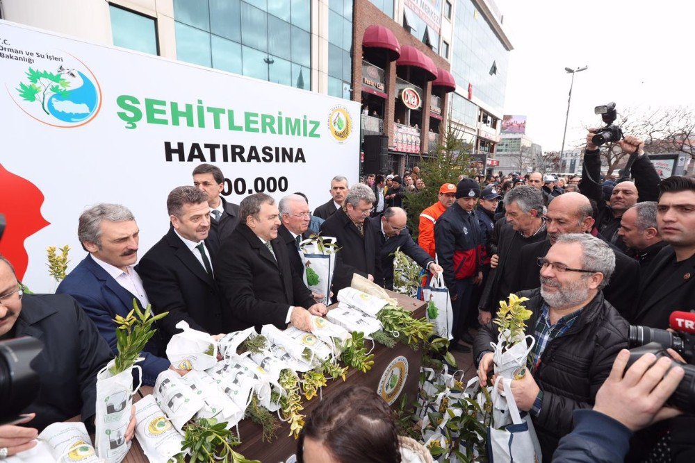 Bakan Eroğlu Gaziosmanpaşa’yı Ağaçlandırma Sözü Verdi