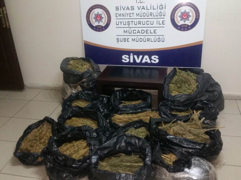 Sivas’ta 44 Kilogram Esrar Ele Geçirildi