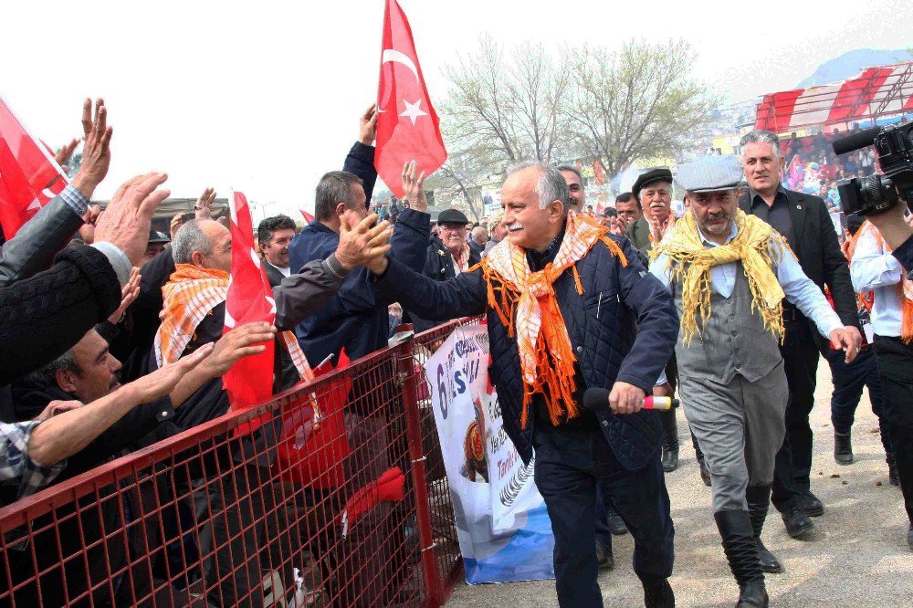 Bayraklı 7. Deve Güreşi Festivali İçin Geri Sayım Sürüyor