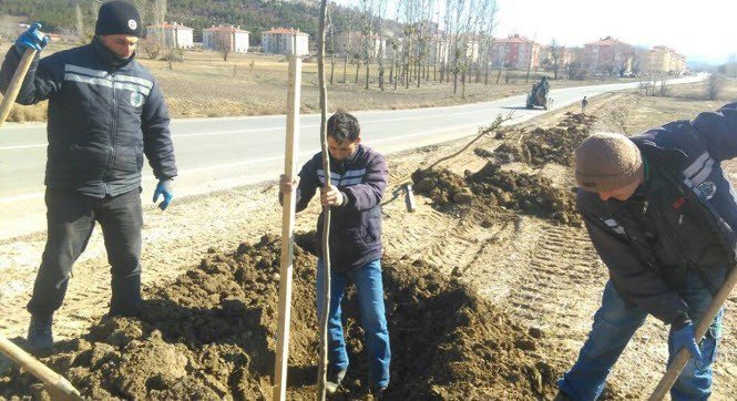 Simav Belediyesinden ‘Fidan Dikimi’ Seferberliği