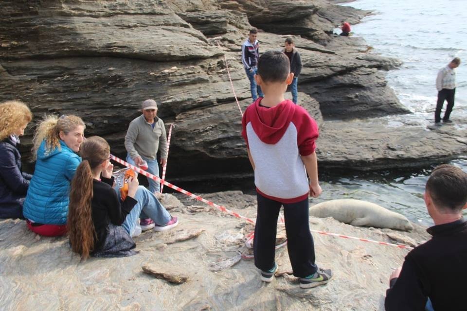 Kuşadası Körfezi’nin Gediklisi Fok, Uyumak İçin Bu Kez Kayalıklara Çıktı